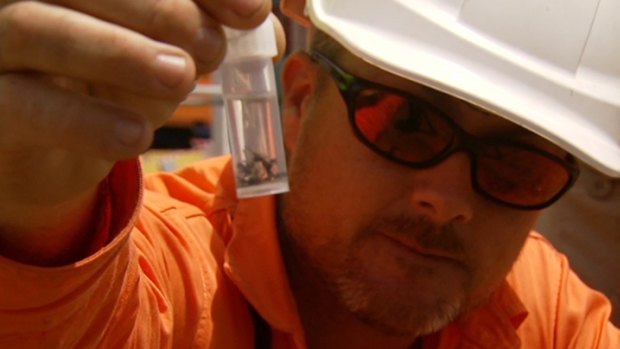 Justin Gibson, senior handler BioSecurity Queensland, holds a red fire ant sample.