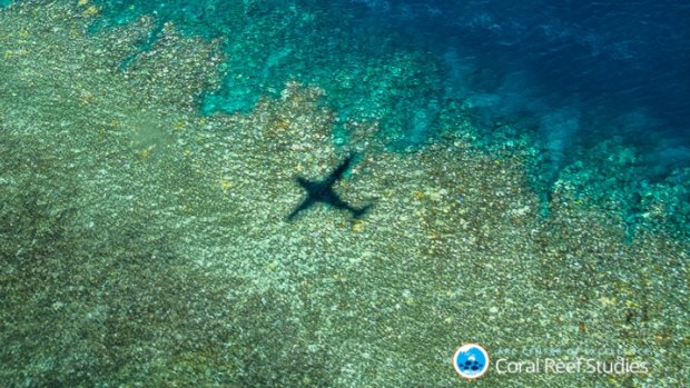 The aerial survey plotted the health of some 800 reefs over 8000 km of flying. 