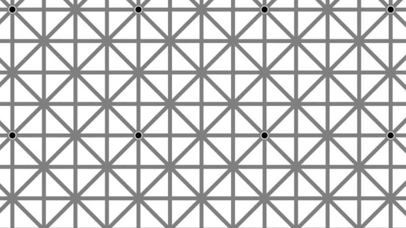 How Many Black Dots Can You See The Internet Puzzle Causing Migraines And Madness - how many black dots roblox