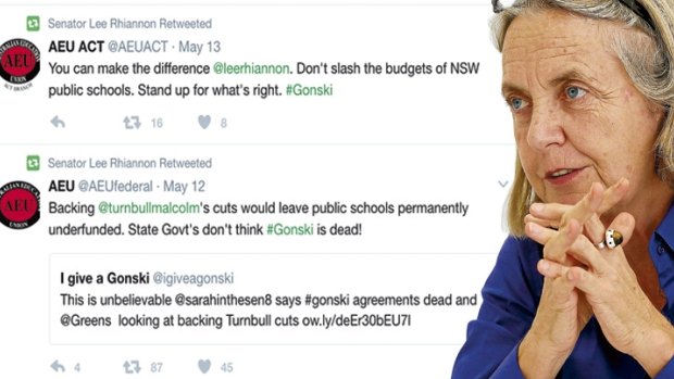 Greens senator Lee Rhiannon is under attack from her federal Greens colleagues.