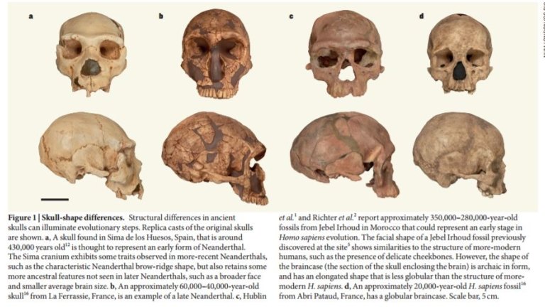Oldest human remains morocco