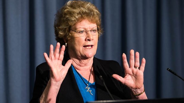 Health Minister Jillian Skinner has resisted calls for a special commission of inquiry.