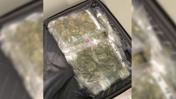 The cannabis allegedly seized by police.
