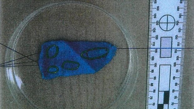 The small piece of blue fabric which contained Hart's DNA.