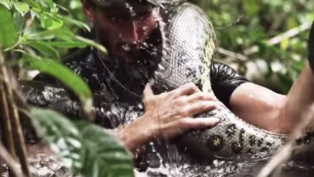 Controversial: Paul Rosalie holds the anaconda.