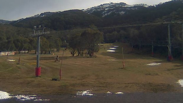 Not everywhere at Thredbo has snow yet.