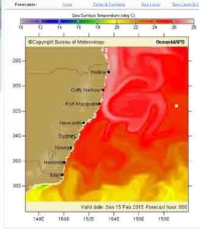 Sea temperatures off NSW coast have been 2-3 degrees warmer than usual.