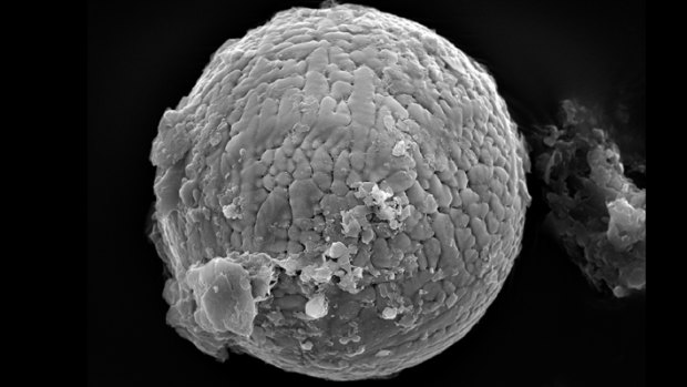 Cosmic dust under a microscope found by Monash University.  