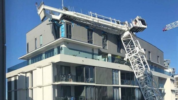 The fallen crane in Wolli Creek before it was removed. 