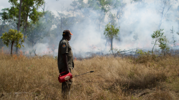 A ranger conducting fire management work.