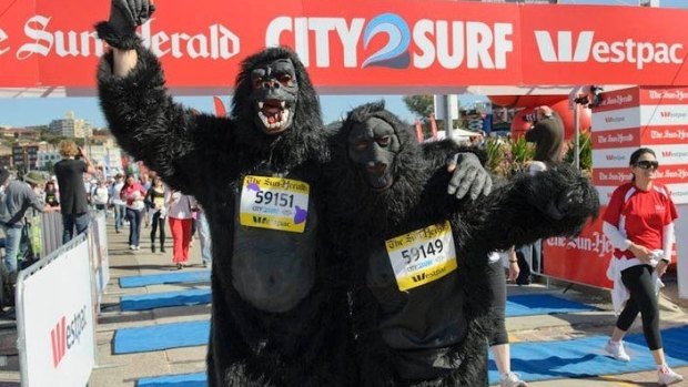 Rob Stanley-Jones, dressed in a gorilla suit in a previous City2Surf.