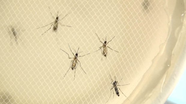 The World Health Organisation said it was  concerned about a report that the Zika virus has been sexually transmitted in the US. 