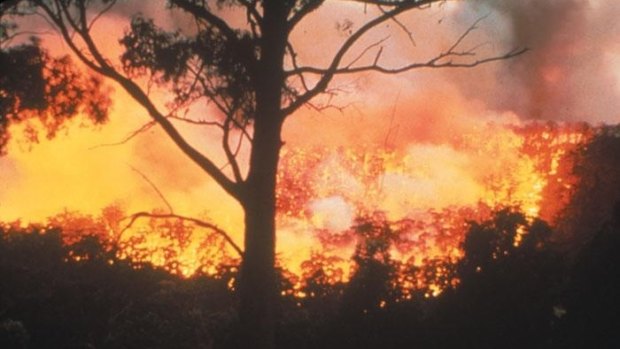 Two Ashwood men have been charged over lighting bushfires.