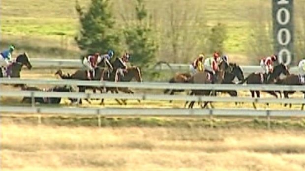 Paul Goode hits the turf after his mount, Shot of The Rails falls at Queanbeyan on June 29 2009.