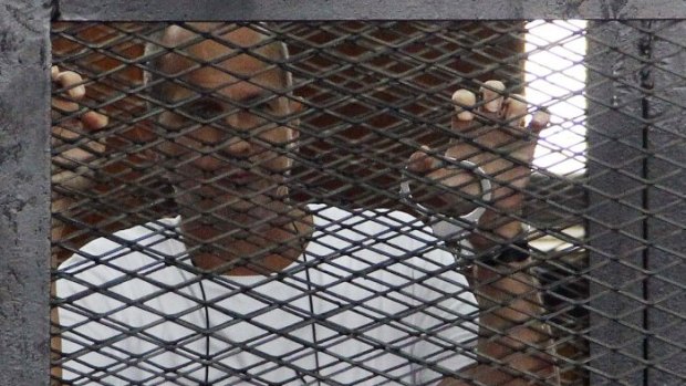 Imprisoned: Australian journalist Peter Greste.
