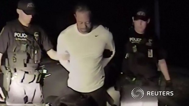 Sorry sight: Tiger Woods is placed under arrest. 