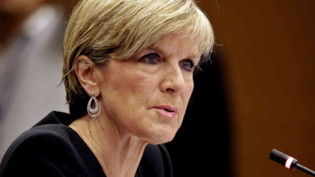 Foreign Minister Julie Bishop says the Turnbull government does not necessarily agree with every element of the statement signed in Paris.