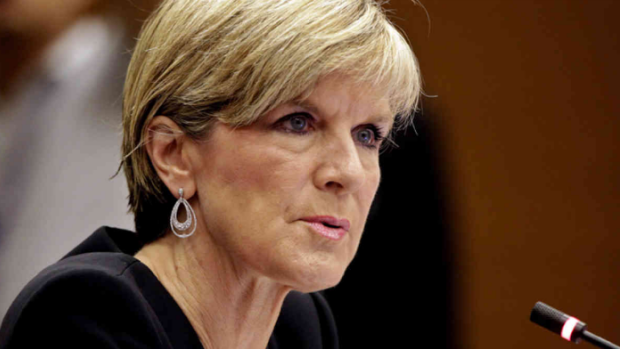 Foreign Minister Julie Bishop says the Turnbull government does not necessarily agree with every element of the statement signed in Paris.