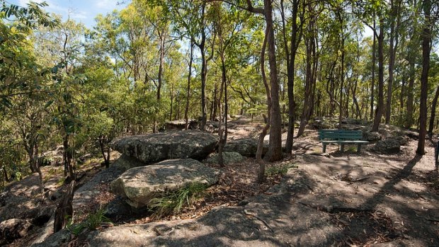 The electorate of Sunnybank has been renamed Toohey, after Toohey Forest Park.