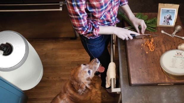 UNSW industrial design student Greta Saggus designed the Scraps Snacks appliance, which turns kitchen waste into pet food.