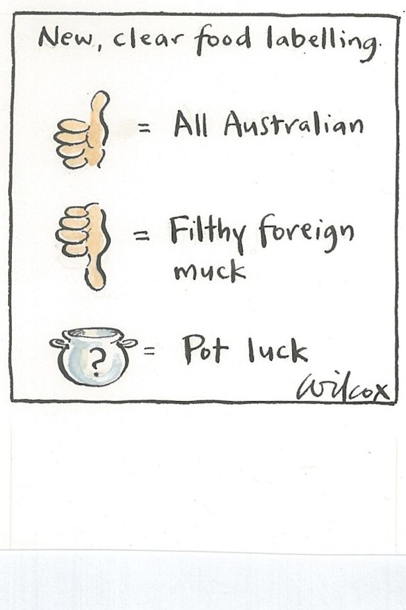 <i>Illustration: Cathy Wilcox</i>