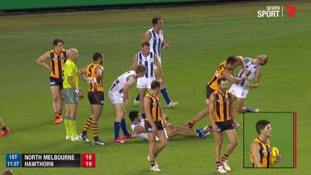 Hawthorn's Luke Hodge lashes out at Andrew Swallow.