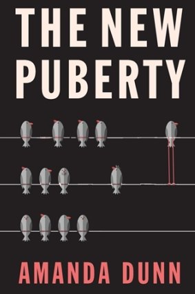 The New Puberty. By Amanda Dunn.