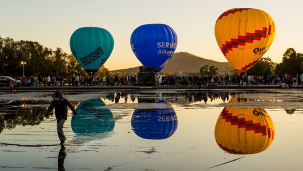 Early morning sun catches the balloons on a cool morning in John Skene's entry to the Canberra Times autumn photo competition.
