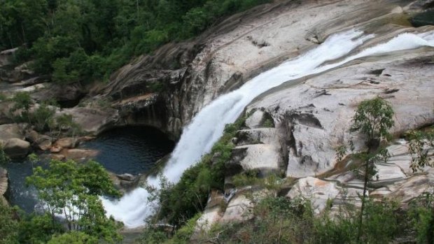 A Japanese tourist fell to her death at Murray Falls near Tully.