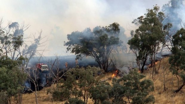 Firefighters battling the blaze at Wodonga on Tuesday.