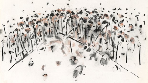 Knoll in the You Yangs, c. 1963-64, charcoal and coloured chalk (detail).