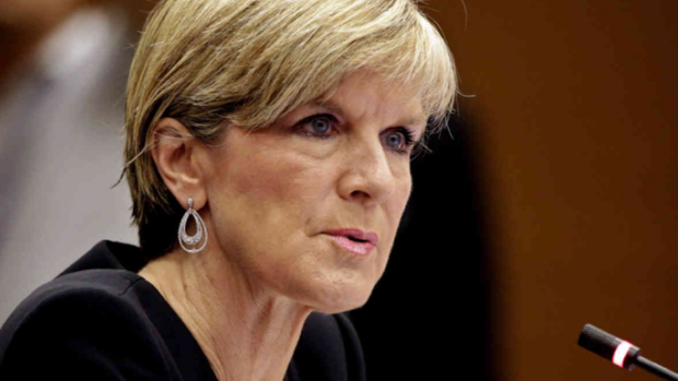 Foreign Minister Julie Bishop says the Turnbull government does not necessarily agree with every element of the statement signed in Paris.