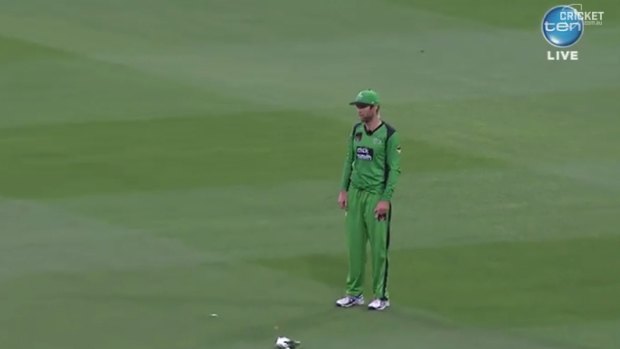 Rob Quiney stands near the bird as it lies prostrate on the MCG.