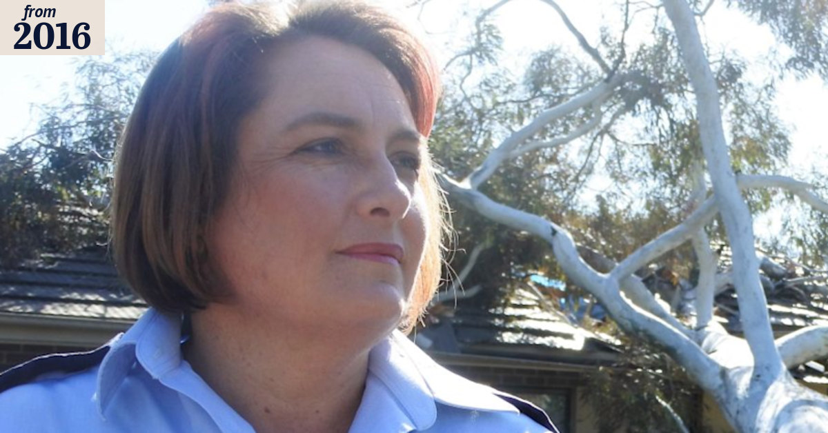 Sodden ground, strong winds led to trees across Canberra falling during ...