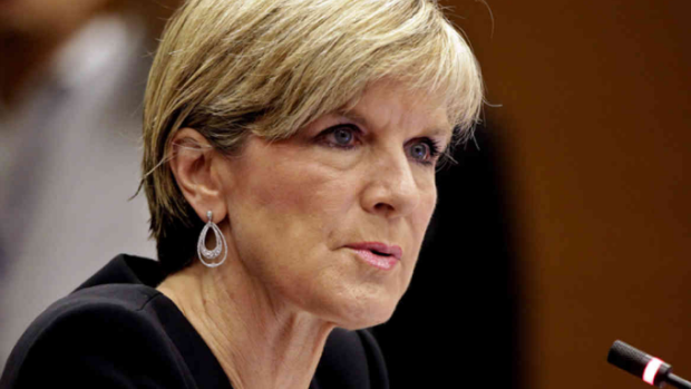 Foreign Minister Julie Bishop says the Turnbull government does not necessarily agree with every element of the statement signed in Paris.