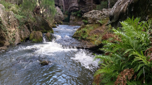 An audit of Sydney's water catchment has found a drop in quality of water in some of the bigger reservoirs.