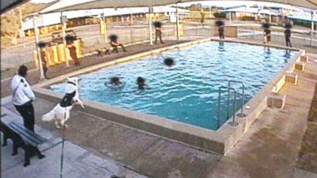 An unmuzzled dog prevents three young inmates exiting a pool.