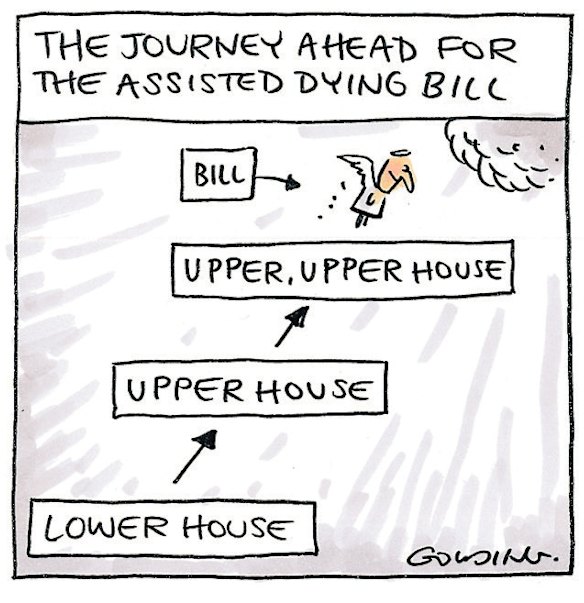 Illustration: Matt Golding