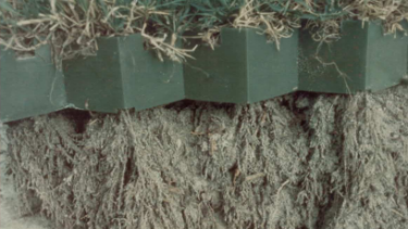 A side-on view of how grass grows through the porous paving blocks, allowing normal root growth. 