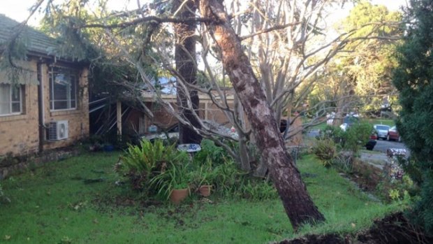 A fallen tree in Malvern after Sundays storms. Worse is to come on Tuesday, forecasters say.