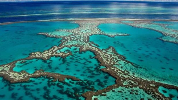 Research has shown rubbish on the Great Barrier Reef can travel hundreds of kilometres.