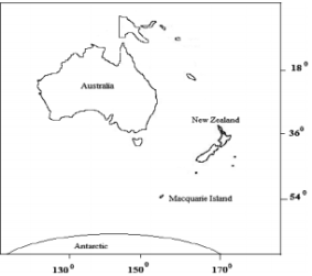 Macquarie Island sits halfway between New Zealand and Antarctica.