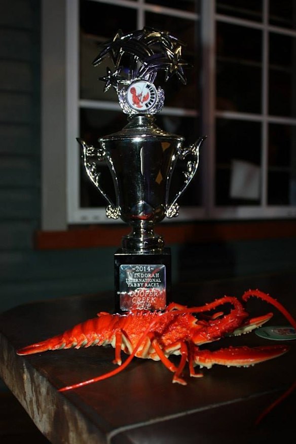 Yabby races off and scuttling in Queensland town Windorah