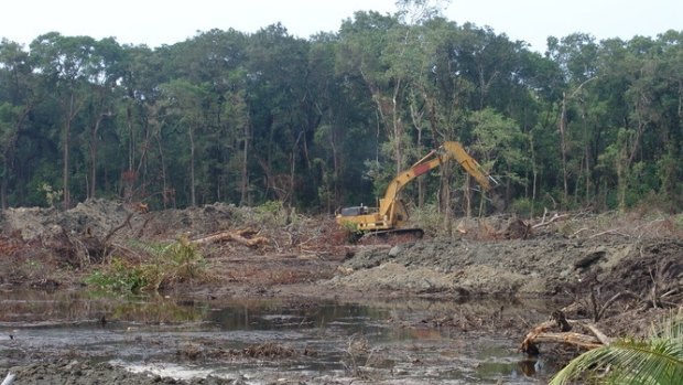 Land clearing rates in Queensland tripled since 2010.