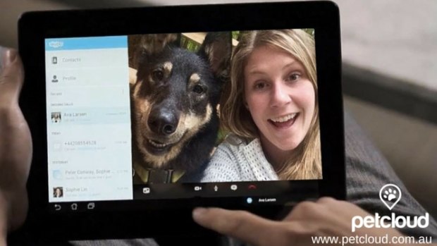 Petcloud allows you to Skype your furry loved one while you are away.