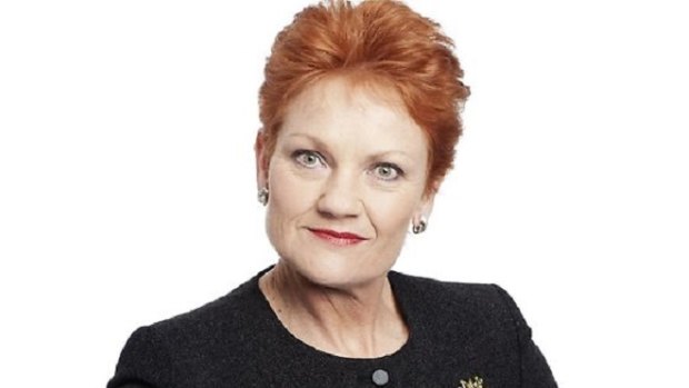 Pauline Hanson's One Nation still continues to stump the most seasoned political watchers. 