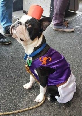 Celebrate Halloween with man's best friend at Port's Howl-O-Ween. 