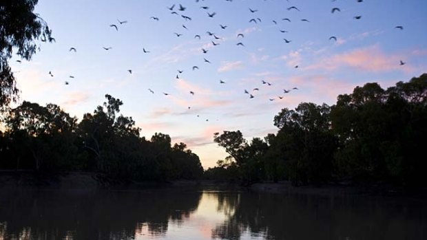 Governments don't seem to be doing much to fix the Murray-Darling Basin's problems.