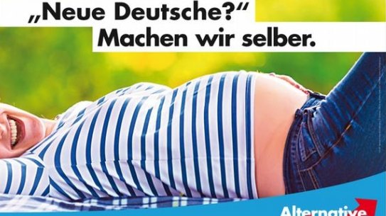 A poster of the far-right Alternative for Germany:  "New Germans? We'll make our own." 