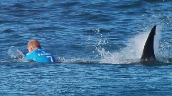 Mick Fanning was attacked by a shark during the J-Bay Open, managing to punch and kick it away.